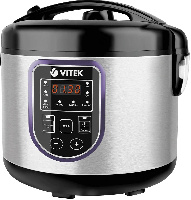 VITEK VT-4202