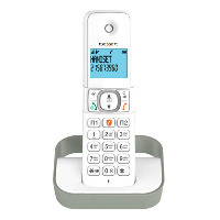 TEXET TX-D5605A бел.серый