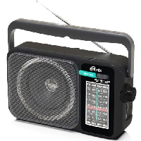 Ritmix RPR-303