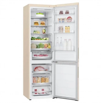 LG GA-В509AEPW фото в  интернет магазине liniyatoka.ru